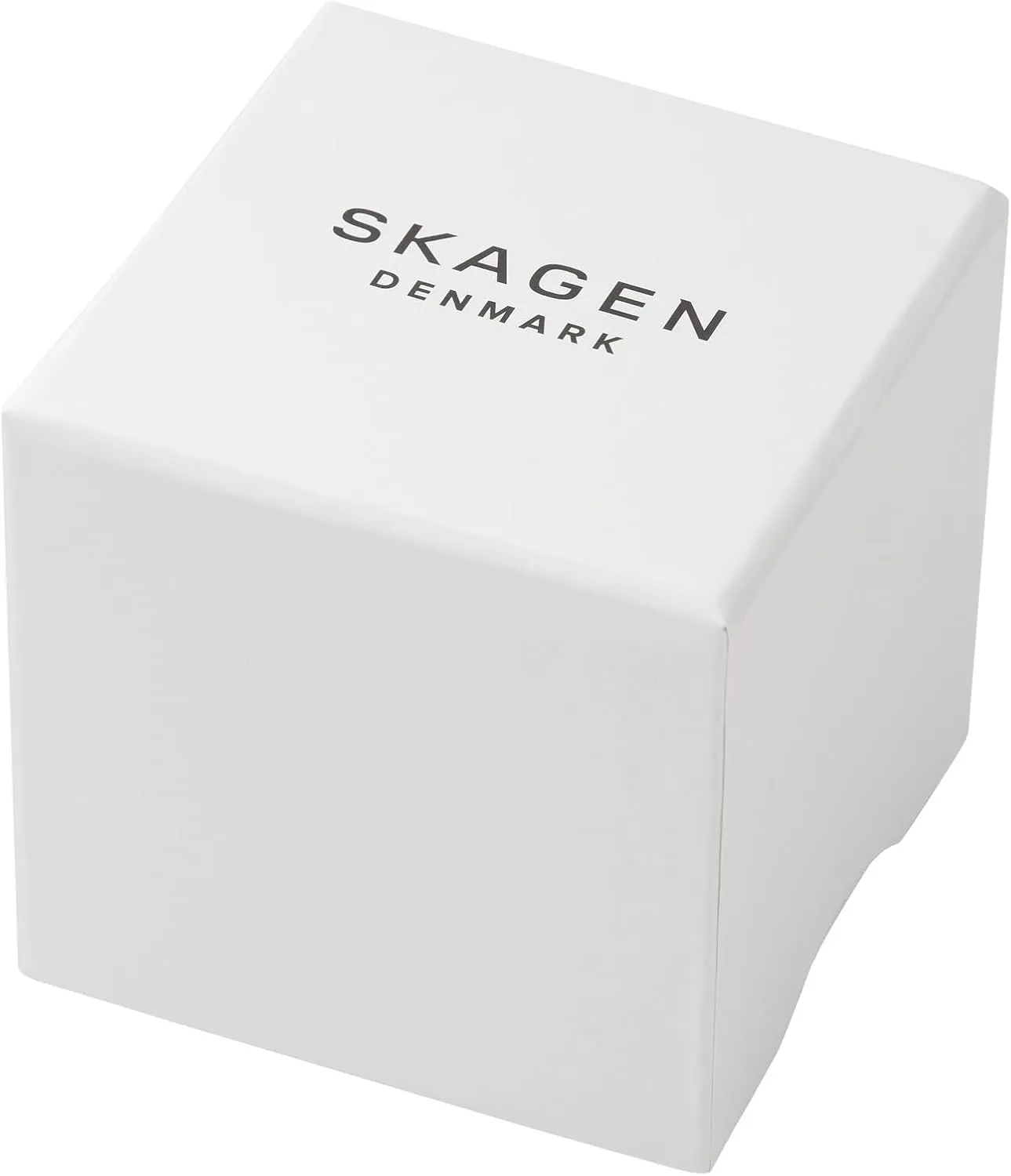 replace Steel and Mesh Watch Skagen Men's Sundby Quartz Analog Stainless 