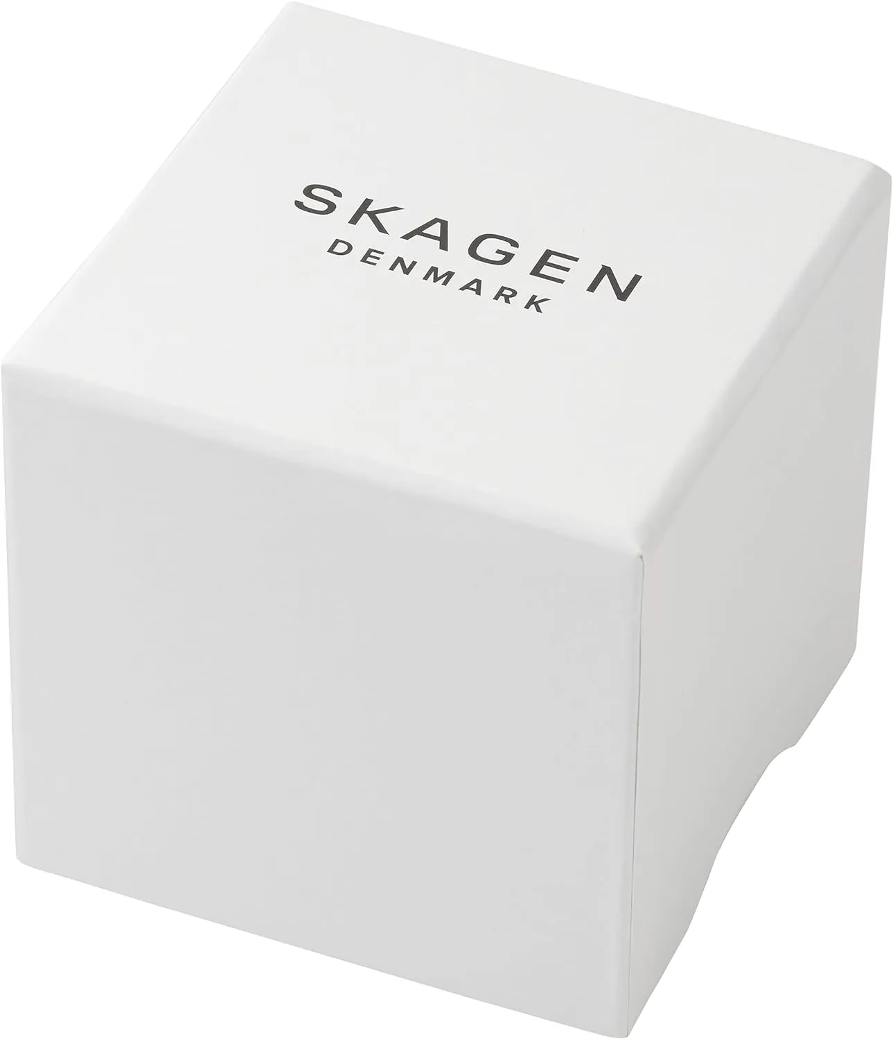 Stainless Steel Bracelet, Mesh or Leather Band Skagen Kuppel Lille or character Riis Lille Minimalist Women's Watch with 