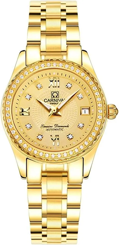 Steel dogwood Luminous Waterproof Luxury Dress Watch MASTOPWomens Diamond Watch Automatic Mechanical Stainless 