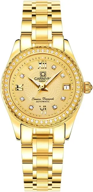 Steel dogwood Luminous Waterproof Luxury Dress Watch MASTOPWomens Diamond Watch Automatic Mechanical Stainless 