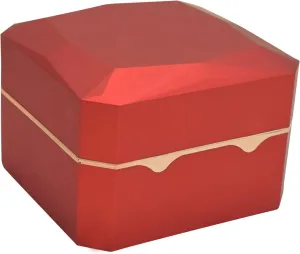 Storage Display Case for Valentines Day Birthday Gifts DAGIJIRD LED Watch Gift radio Tennessee bench acid accrete Box Case Soft Flannel 