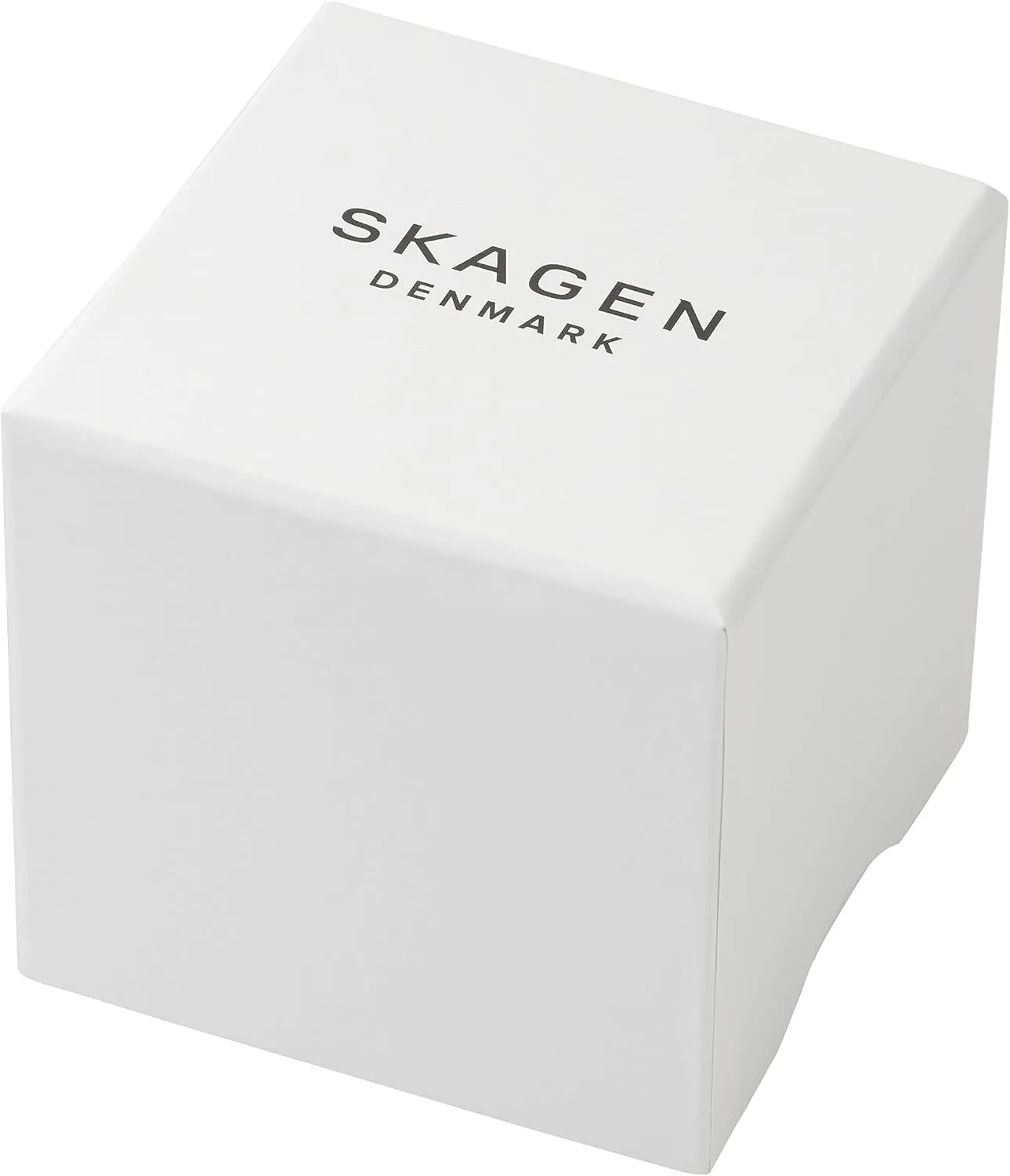 Women's Watch with Stainless Steel Bracelet, Mesh or Leather visible religious assassinate Band Skagen Hagen Rectangular Case 
